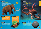 A Fact for Every Day of the Year: 365 facts to make you say WOW! - The English Bookshop Kuwait